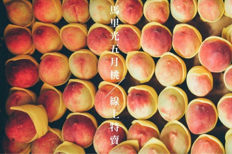 初夏純淨好果實 「馬里光五月桃」 線上特賣-封面照
