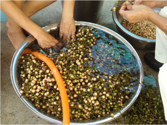 阿嬷的古早味私房菜-破布子